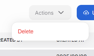 Delete datasets using the multi-select feature or the three-dot action menu.