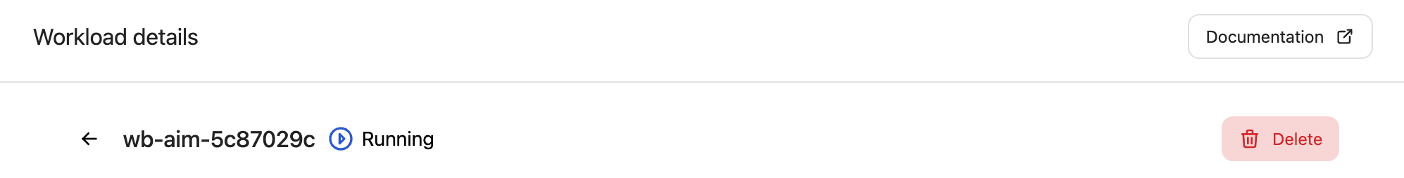Workload detail header with name, status, and Delete button.