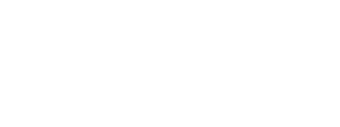 LLM-Chat consists of just two components: the OpenWebUI server and the AIM LLM.
